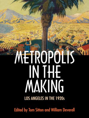 cover image of Metropolis in the Making